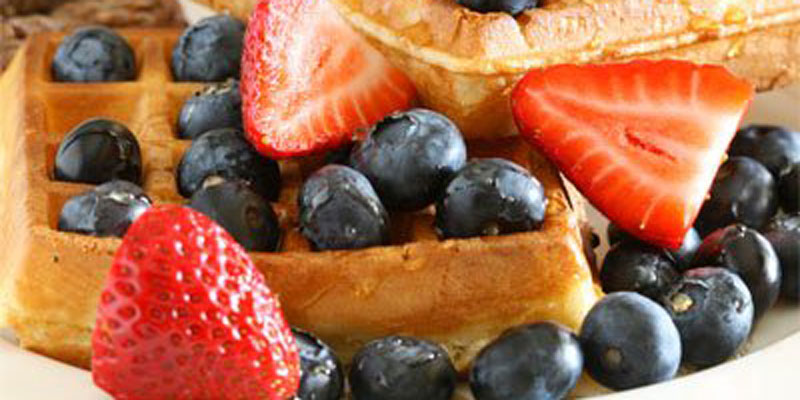 Easy Isagenix Snack Ideas – Protein Waffles Easy Isagenix Snack Ideas - Protein Waffles