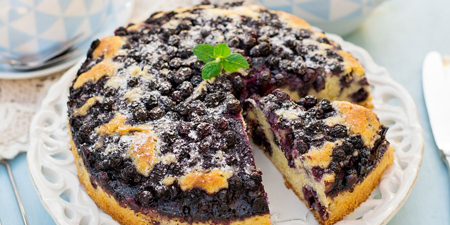 Luscious Lemon Blueberry IsaLean Coffee Cake