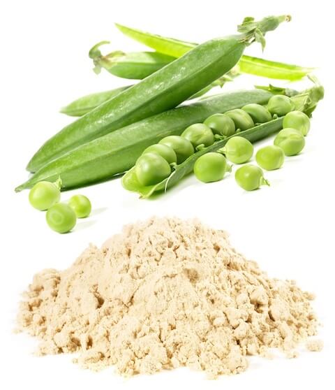 Pea protein