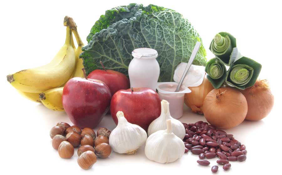 Probiotic prebiotic foods diet